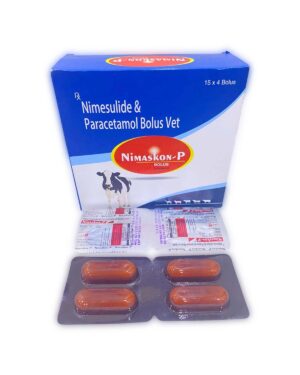 Nimesulide & Paracetamol Bolus